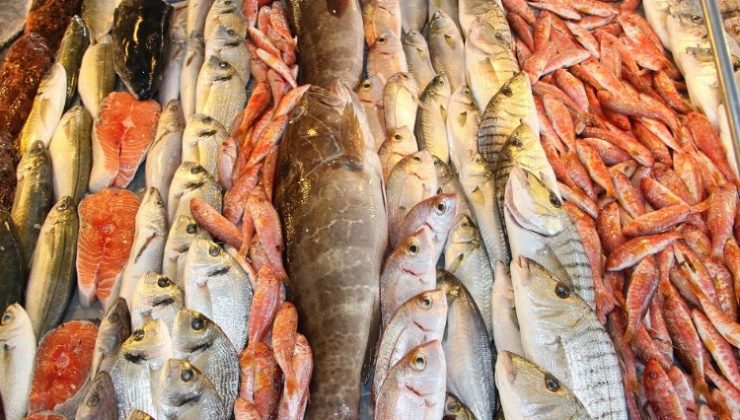 Egeli balıkçılar ihracatta 1 milyar doları aştı