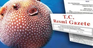 balon-baligi-avciligi-destegi-artirildi-H2zyhO7Z.webp
