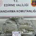 Edirne Jandarması’ndan skunk operasyonu