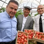 IV. Uluslararası FoodFest Gastronomi Festivali domates hasadı ile başladı