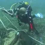 İzmir’de deniz dibinden 1,5 ton ağ çıkarıldı!