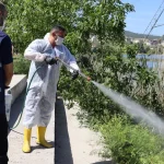 İzmit’te halk sağlığı için yoğun ilaçlama mesaisi