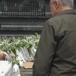 Malatya’da vatandaşlara ücretsiz fide dağıttı