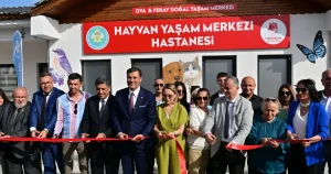 manisada-sokak-hayvanlari-icin-hayvan-yasam-merkezi-hizmete-acildi-81PFCL8z.webp