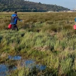 Muğla Büyükşehir’den Güllük’te 60 hektarda ilaçlama