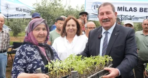mugla-milasta-300-ureticiye-dagitim-gerceklestirildi-6wMtYX9t.webp