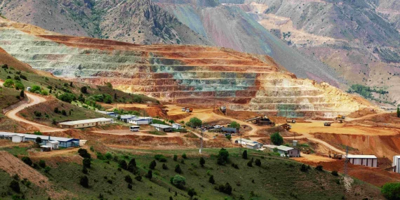 Yeni torba yasa doğayı tehdit ediyor…. TEMA Vakfı’ndan sert uyarı!