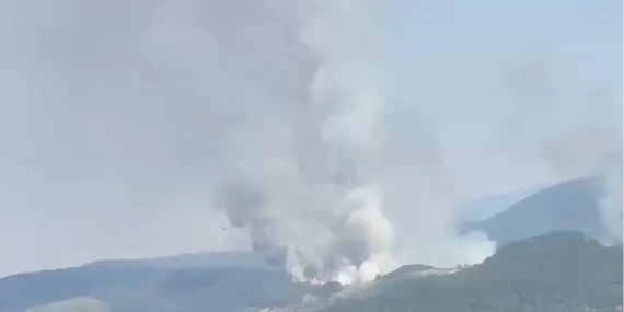 Balıkesir Sındırgı’da orman dışı alanda yangın!