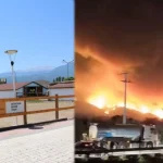 Bursa'da yangından etkilenen hayvanlara el açtılar