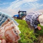 Çiftçilere 865 milyon TL'lik destek ödemesi hesaplarda